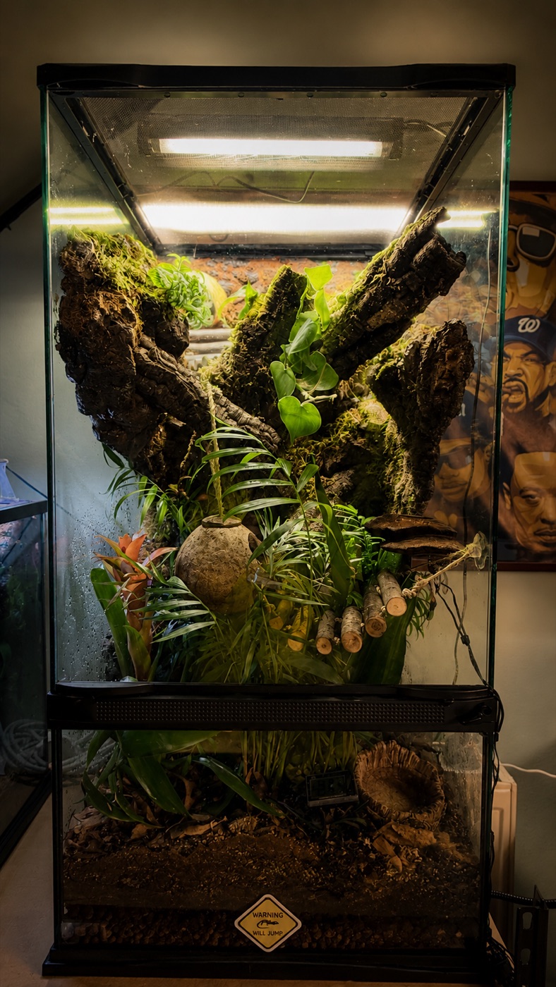 TERRARIUMS