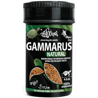Gammarus