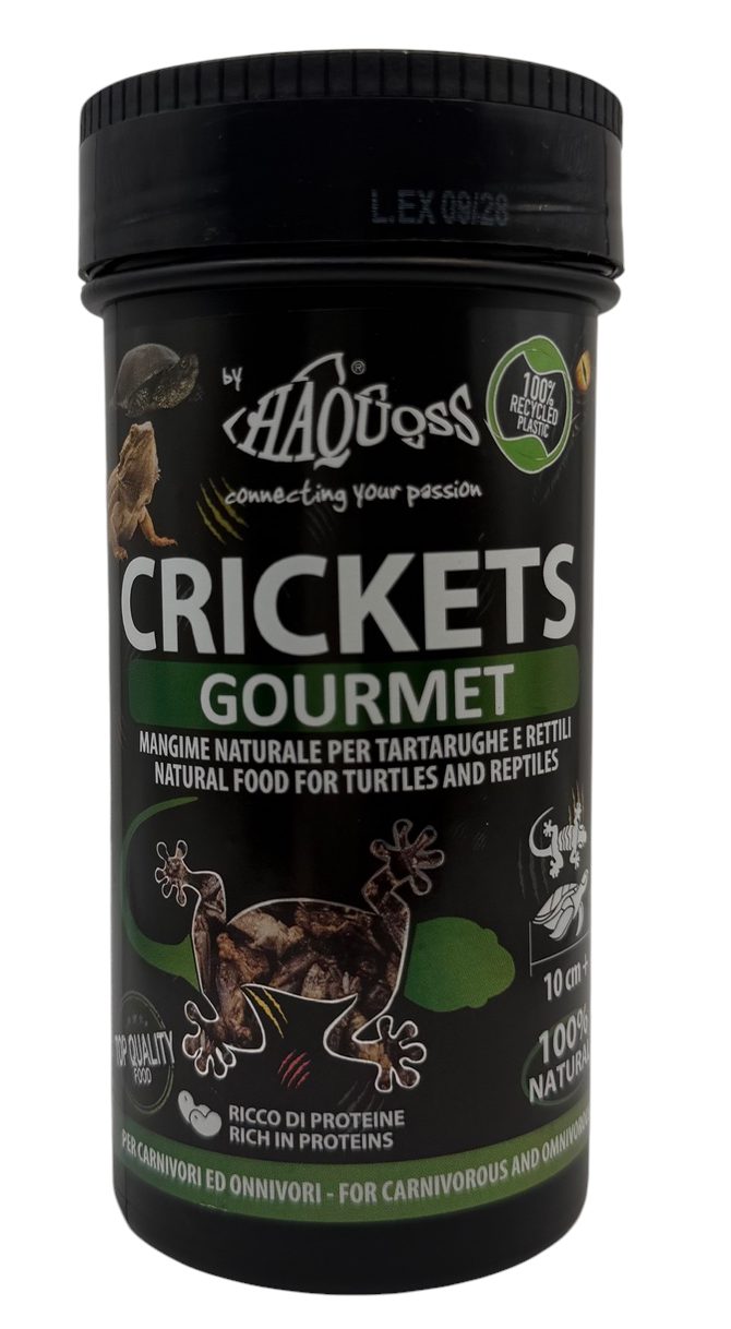 Crickets Gourmet