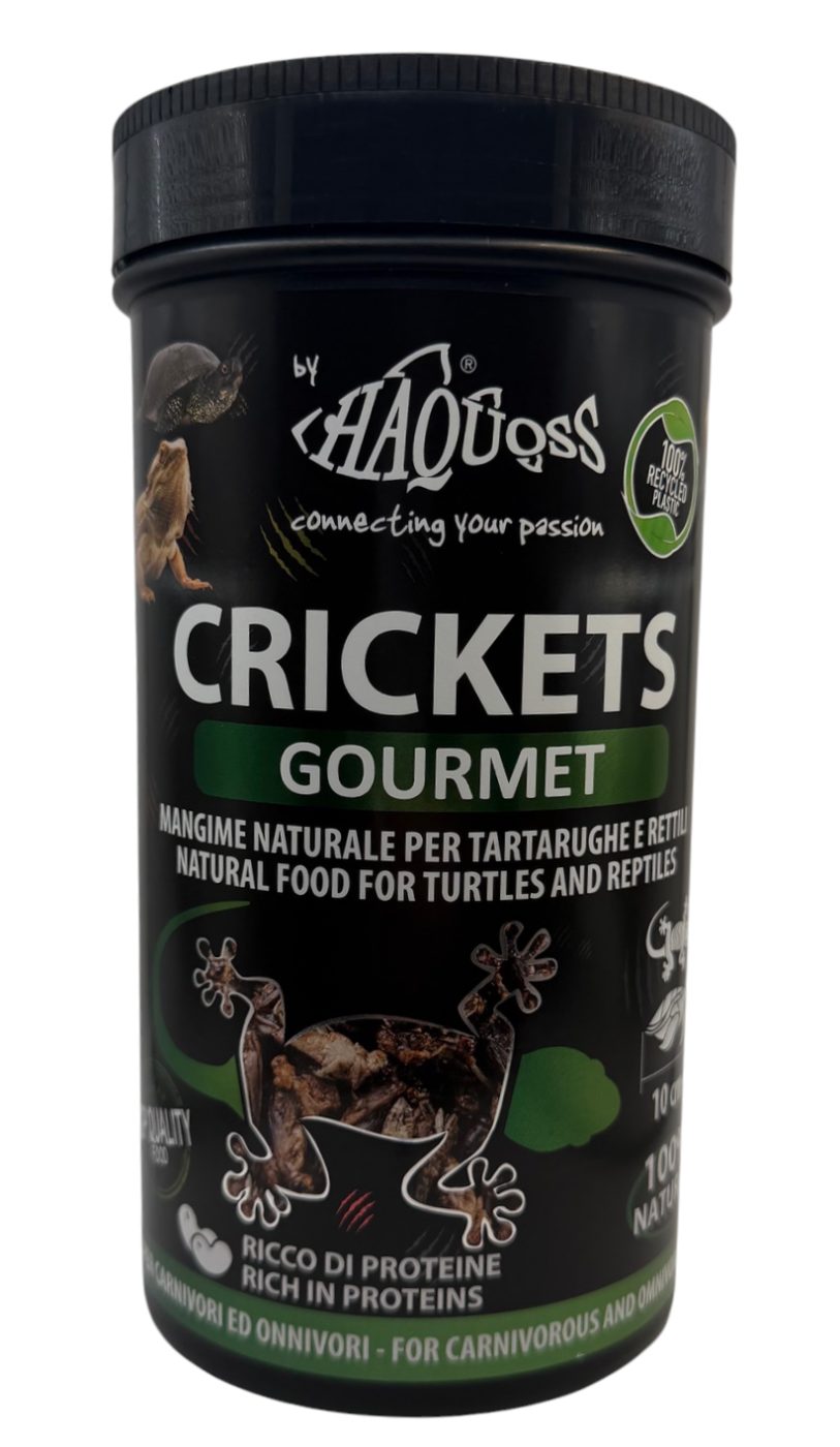 Crickets Gourmet