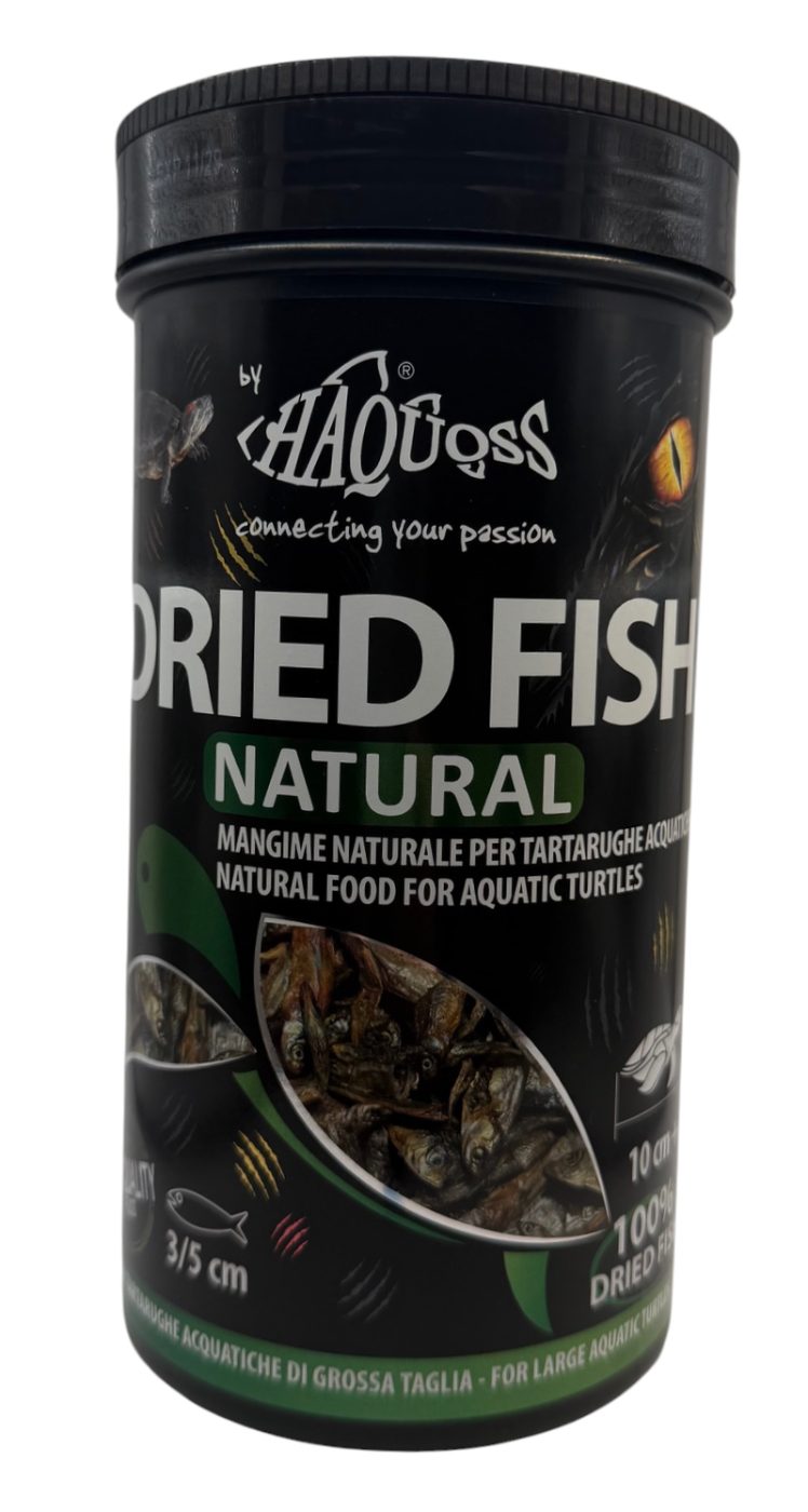Dried Fish