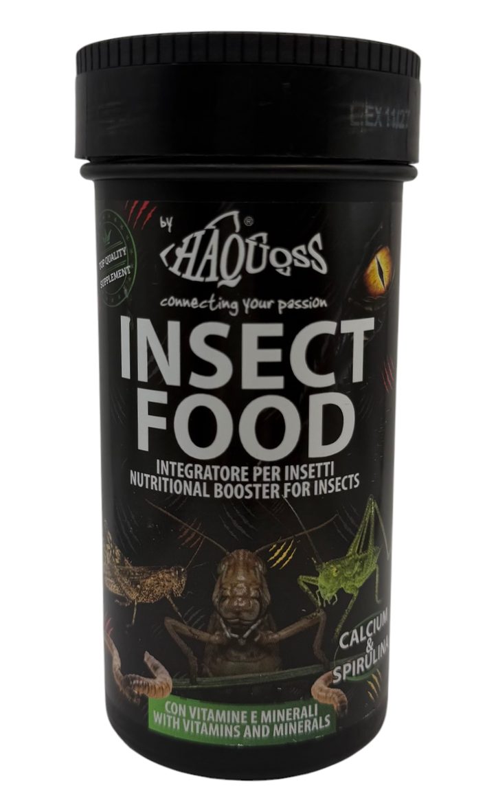 Insect Food