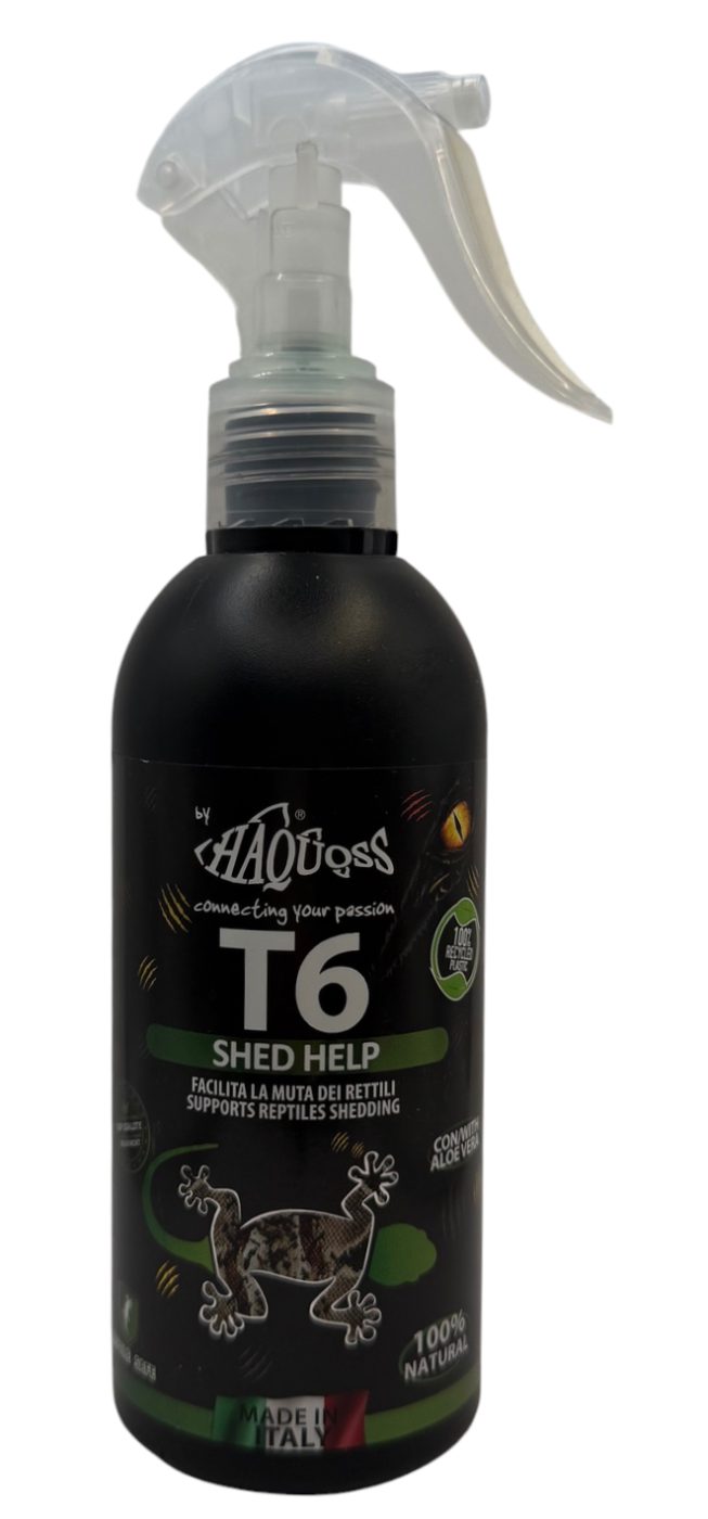 T6 Shed Help