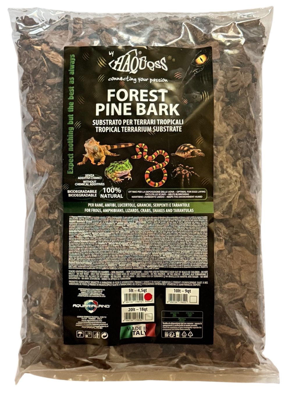 Forest Pine Bark