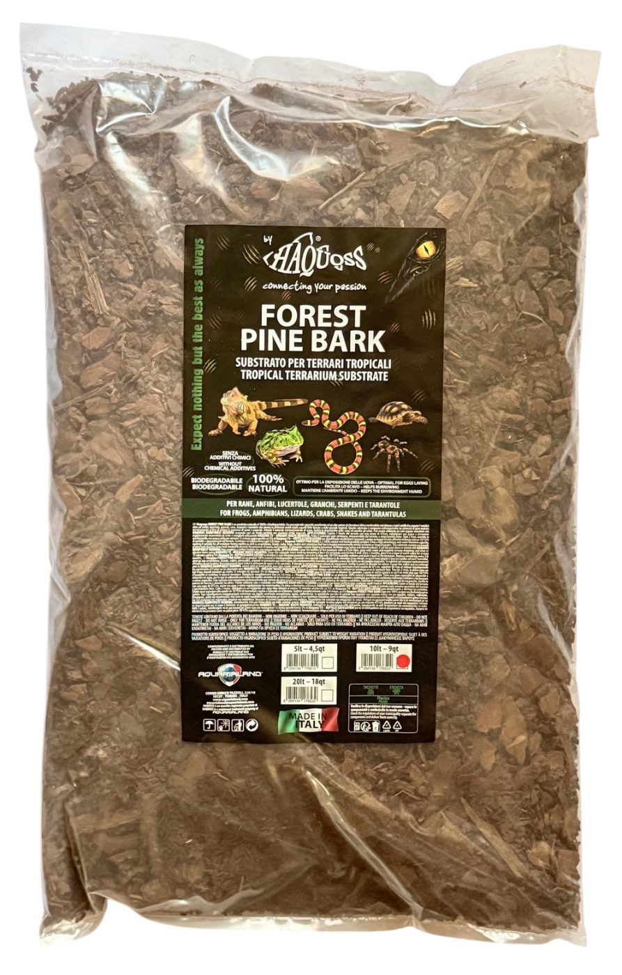 Forest Pine Bark