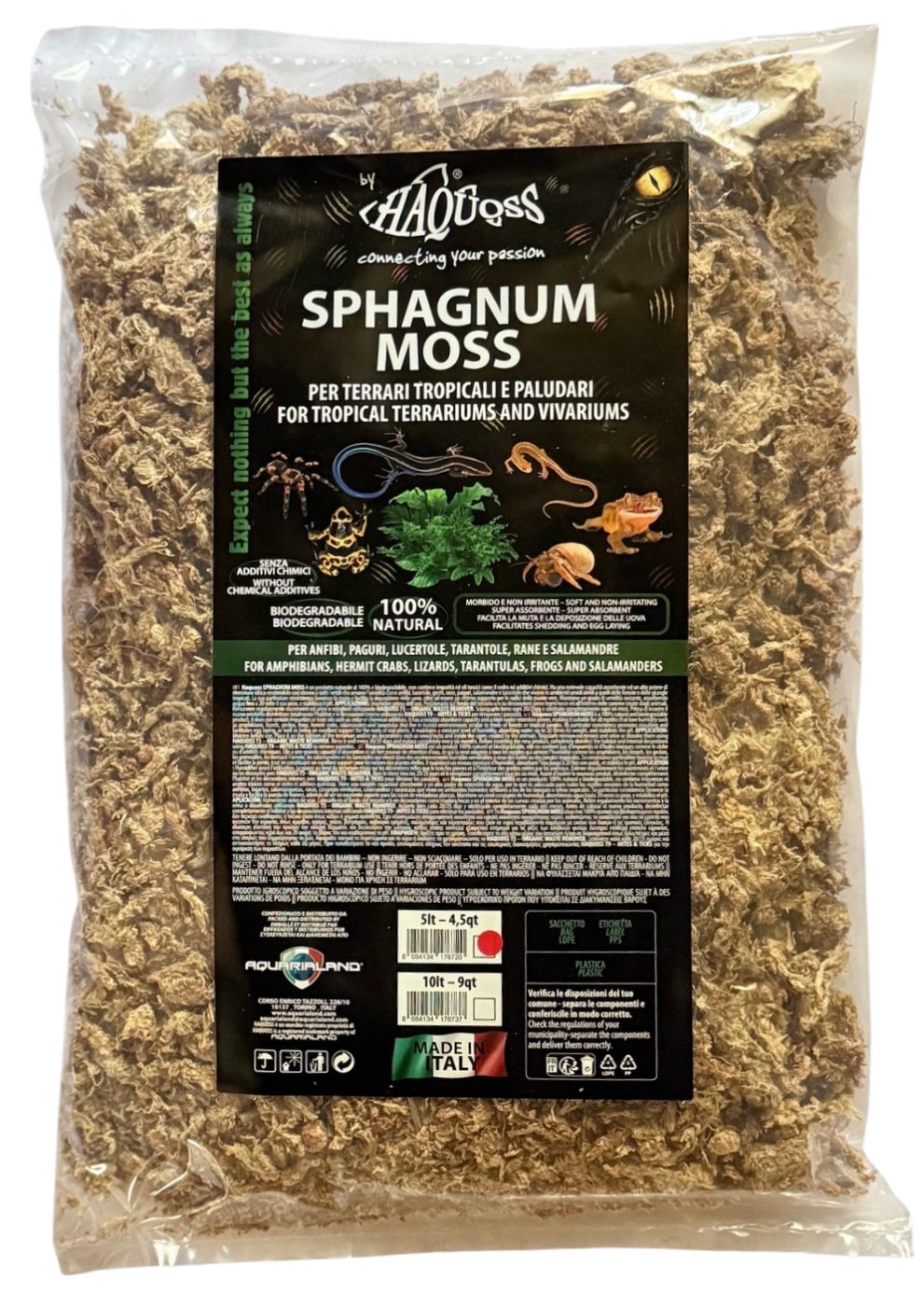 Sphagnum Moss