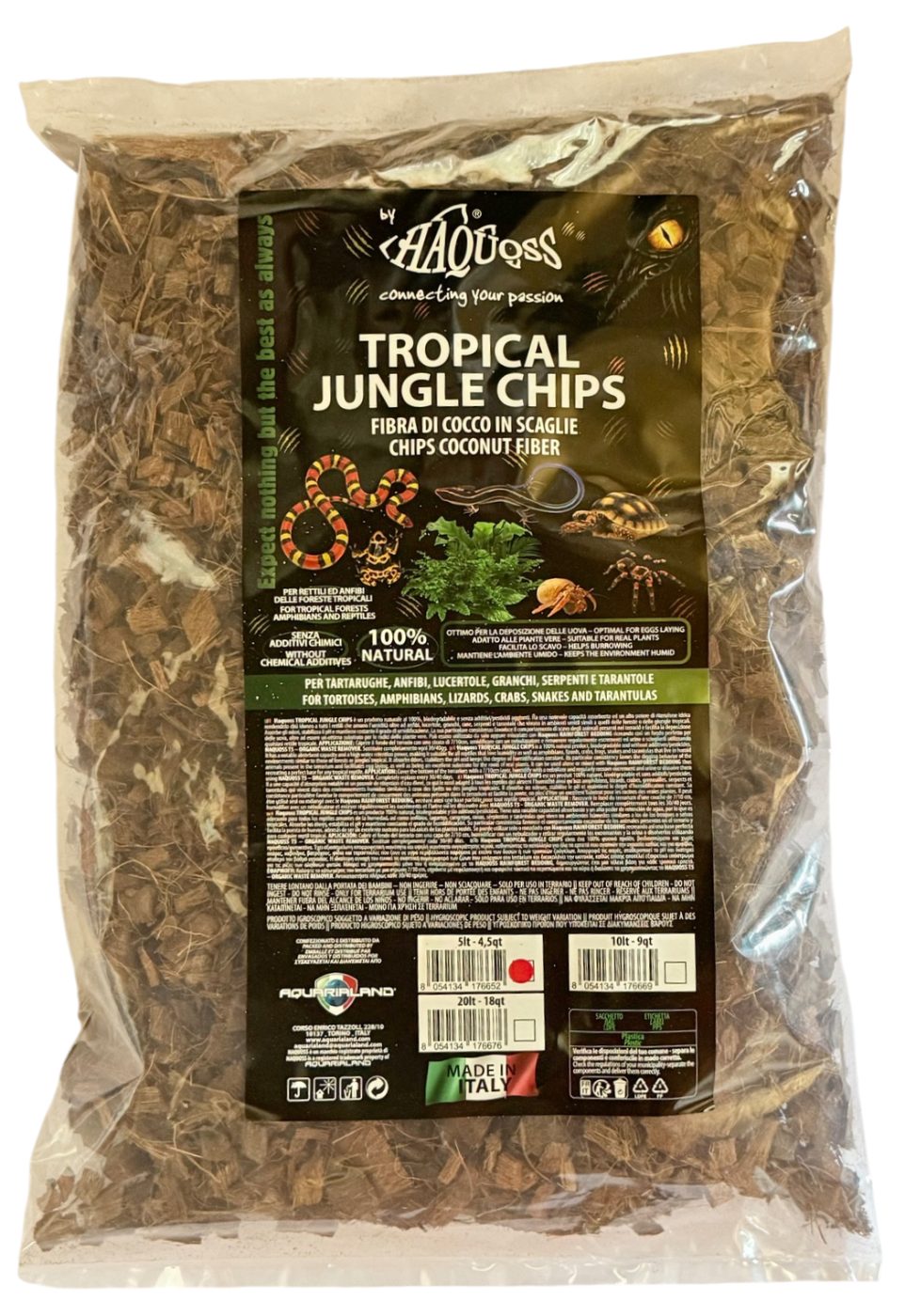 Tropical Jungle Chips
