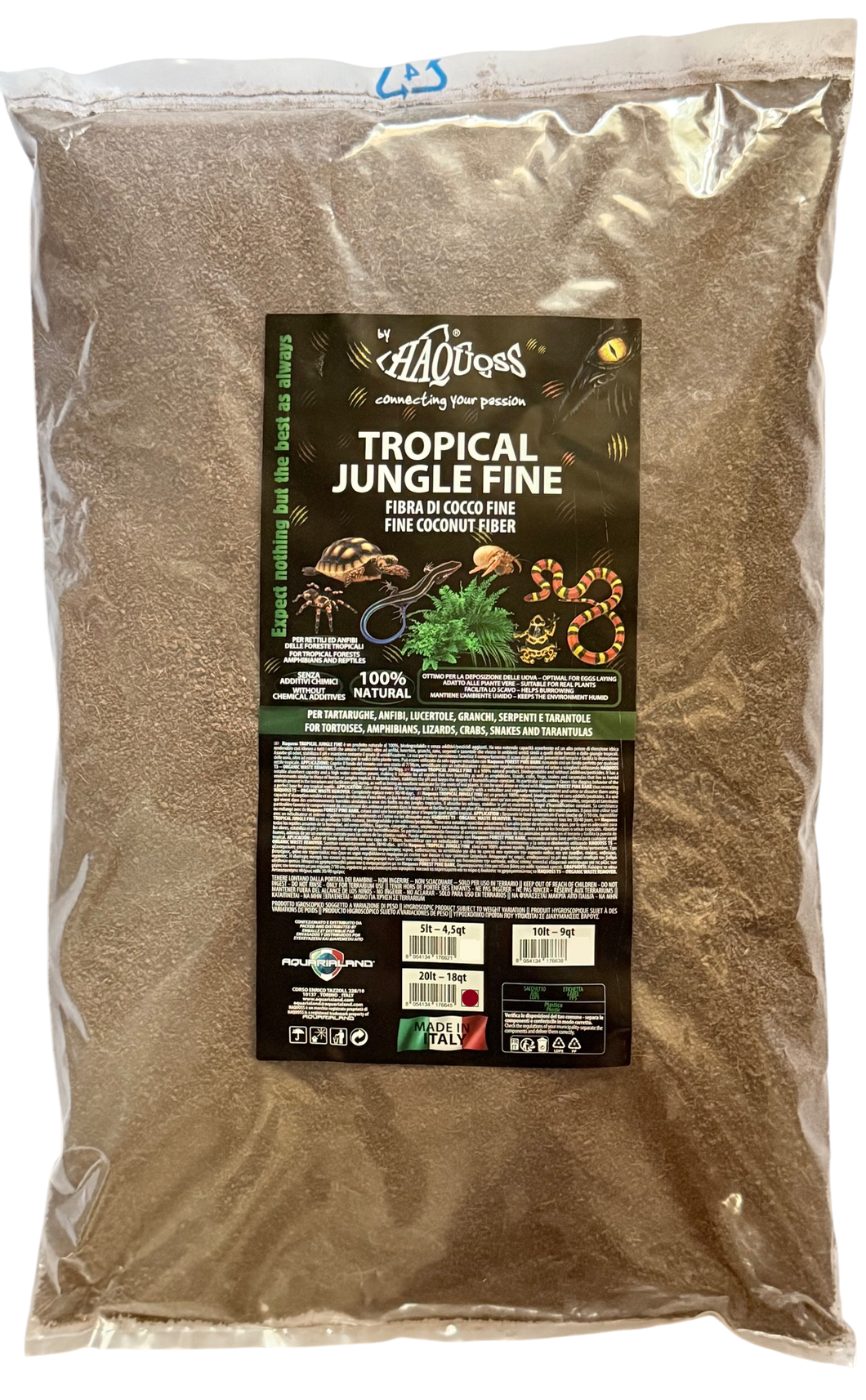 Tropical Jungle Fine