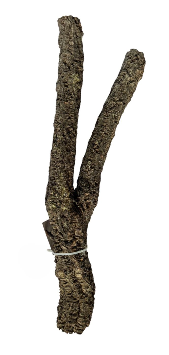 Cork Branches