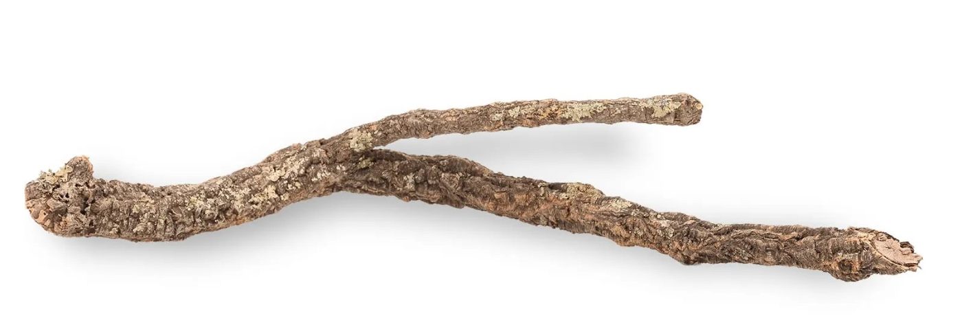 Cork Branches