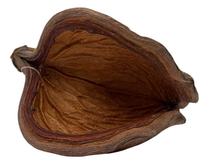 Habistat Sculta Pod