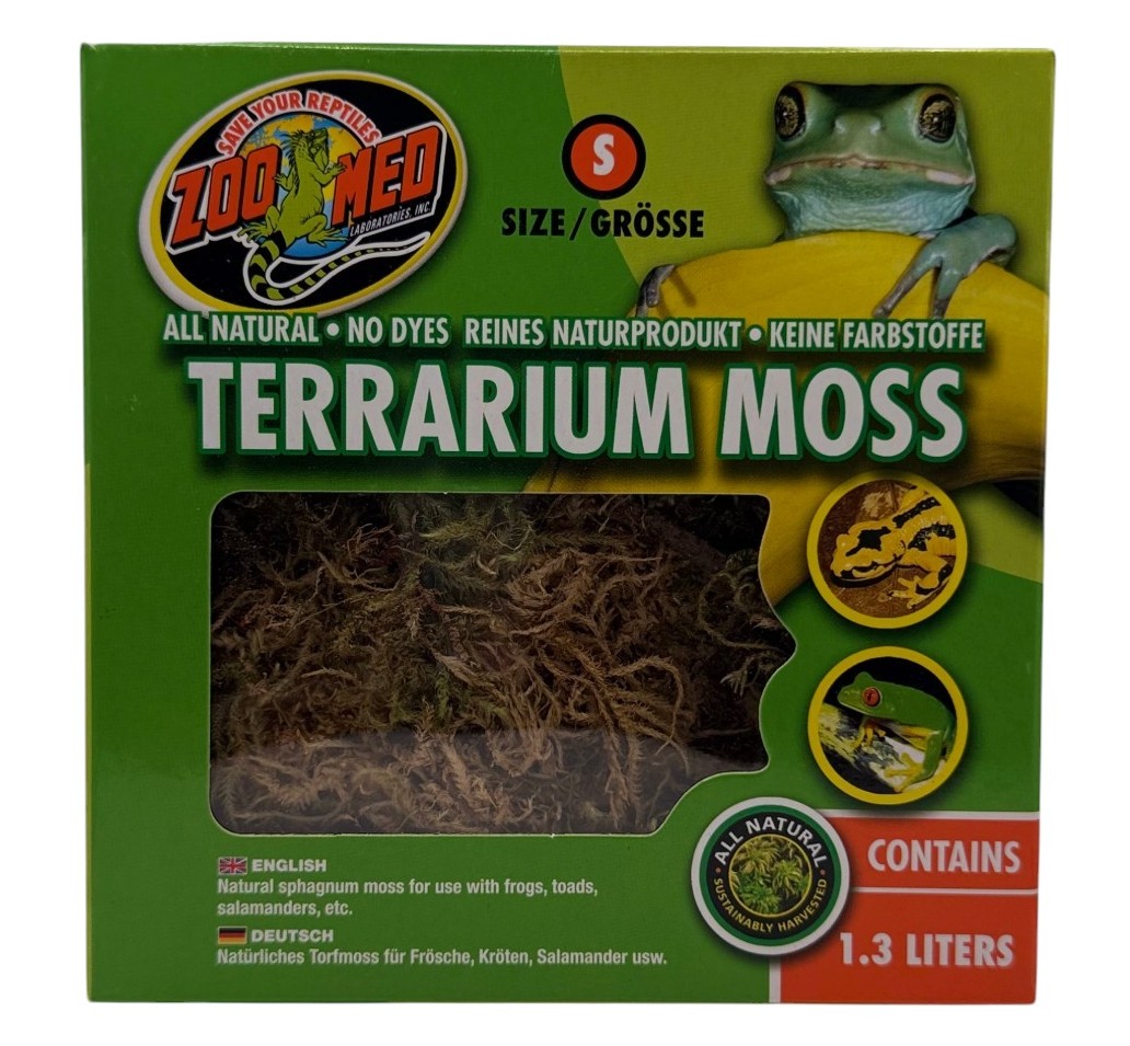 Zoomed Terrarium Moss