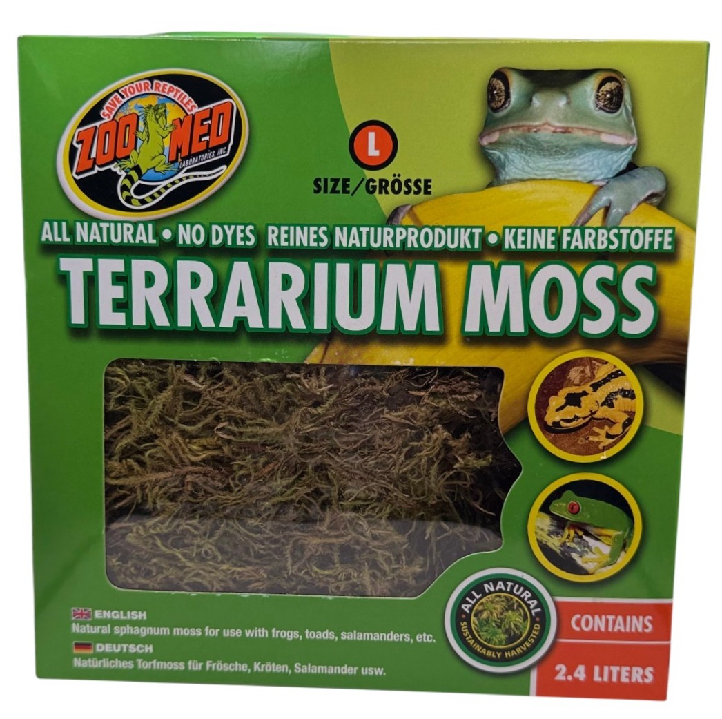Zoomed Terrarium Moss