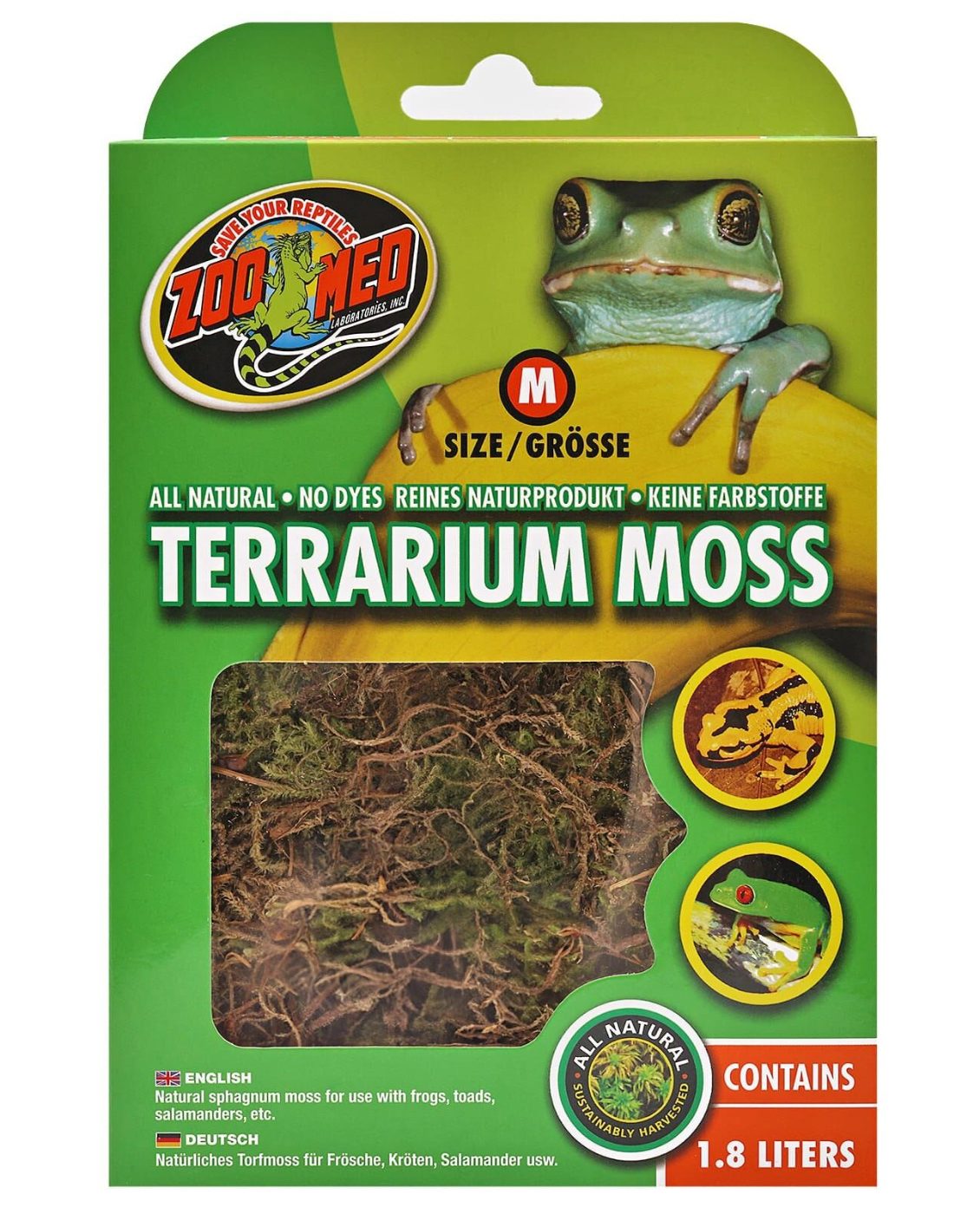 Zoomed Terrarium Moss