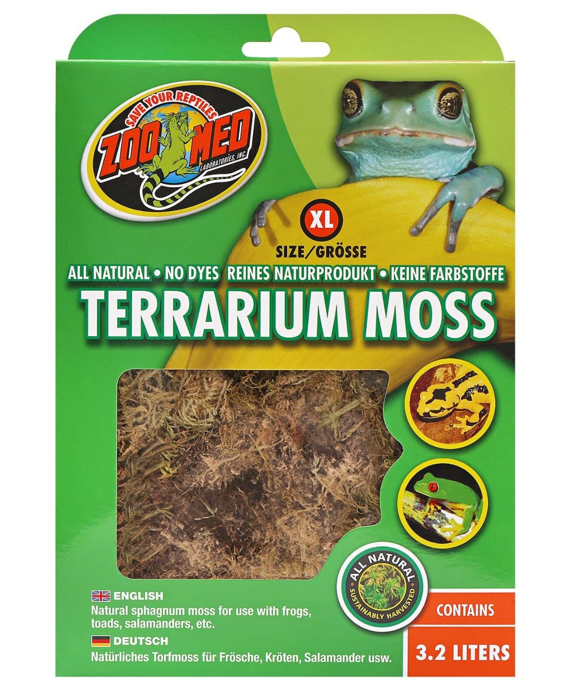 Zoomed Terrarium Moss