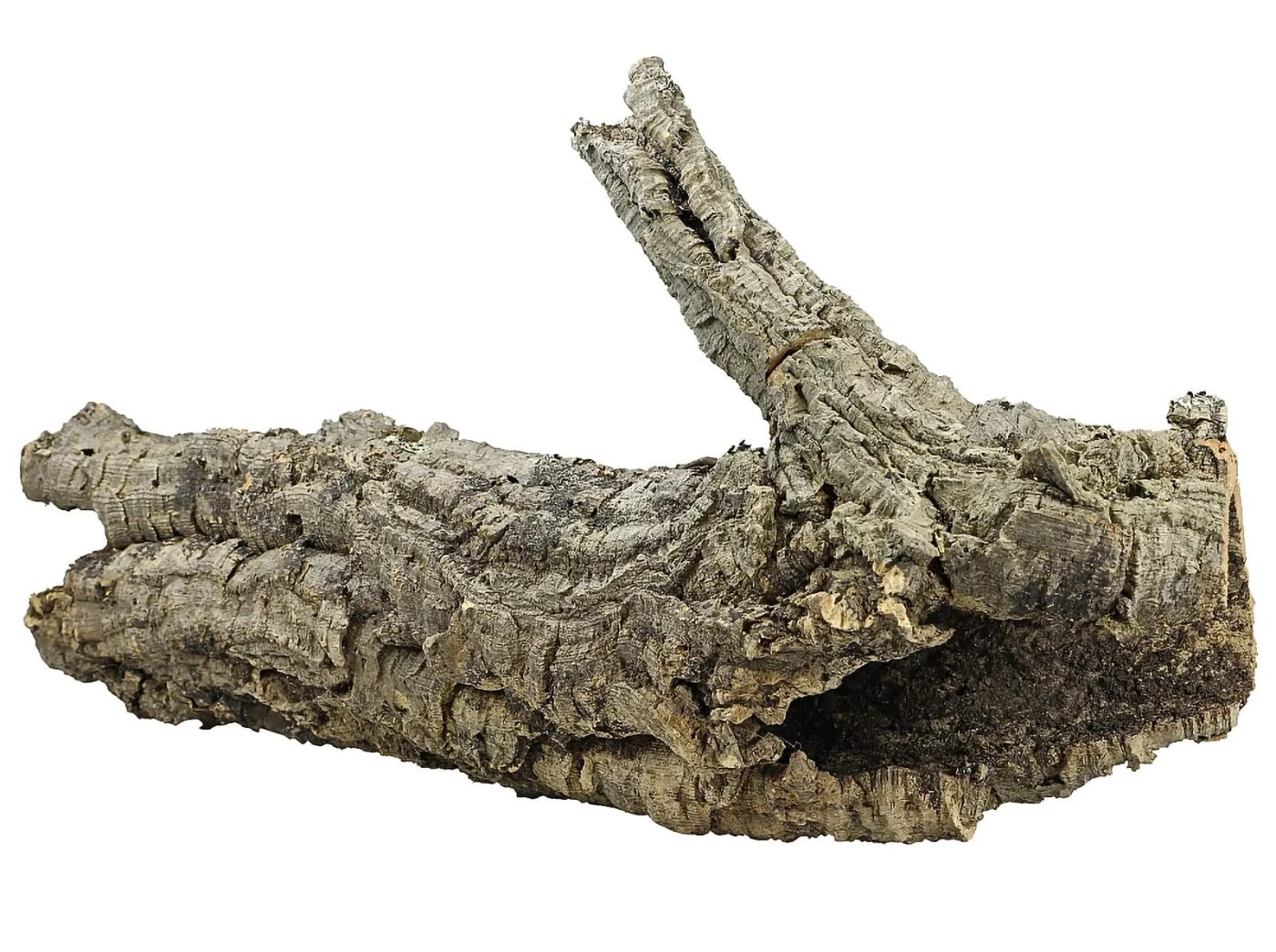 Cork Tubes