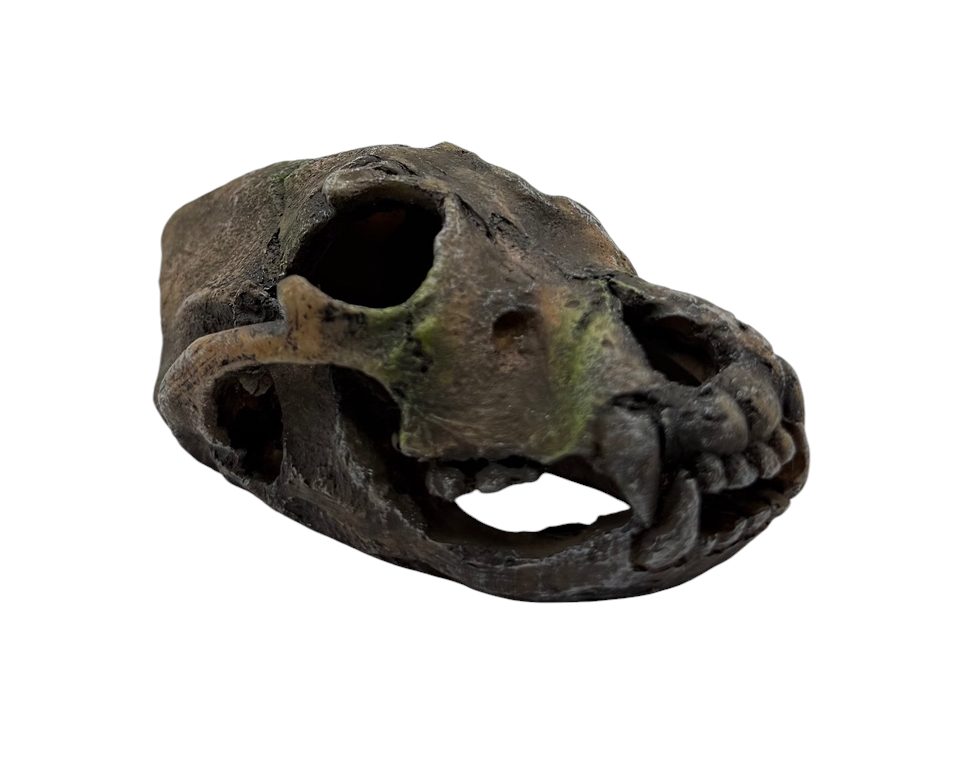 Skullmini Assorted