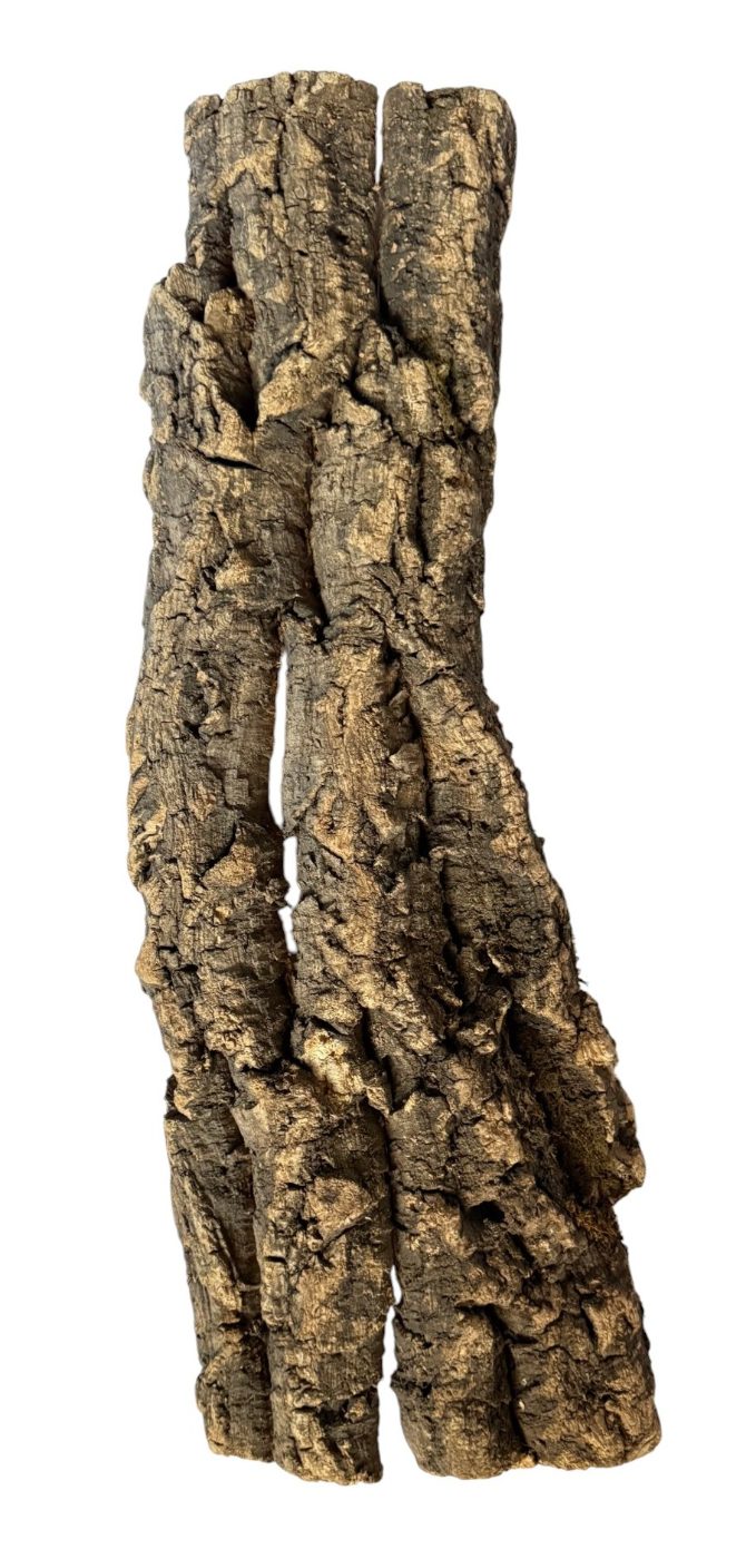 Tree Bark