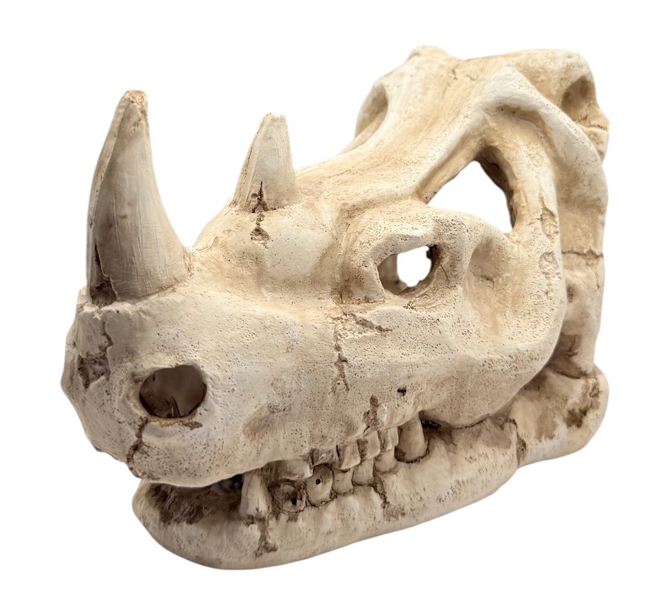 Rhino Decor