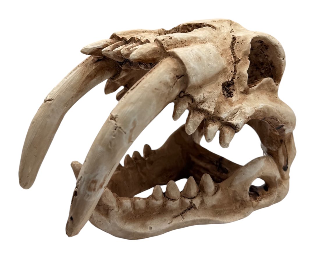 Tiger Skull Decor