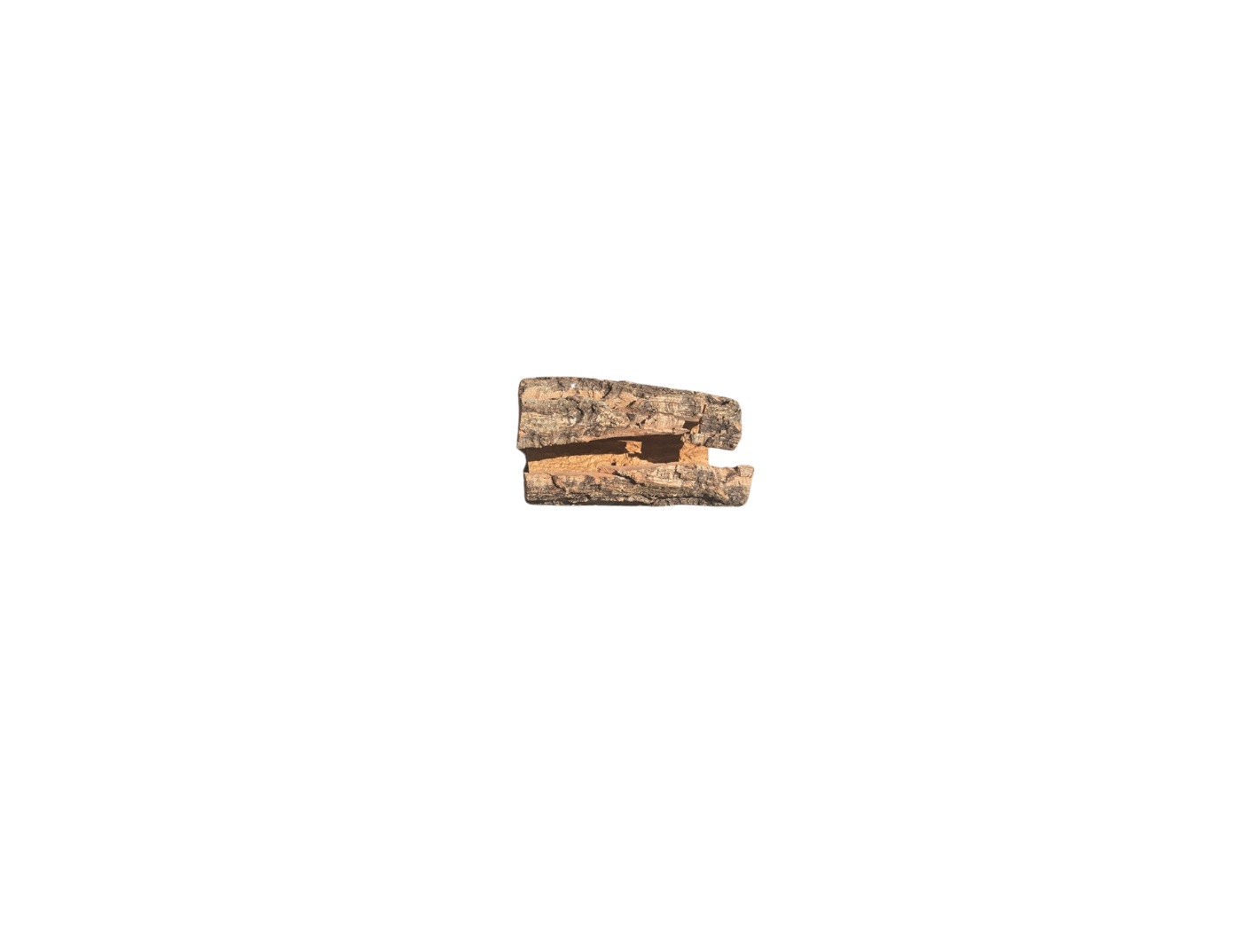 Tree Bark