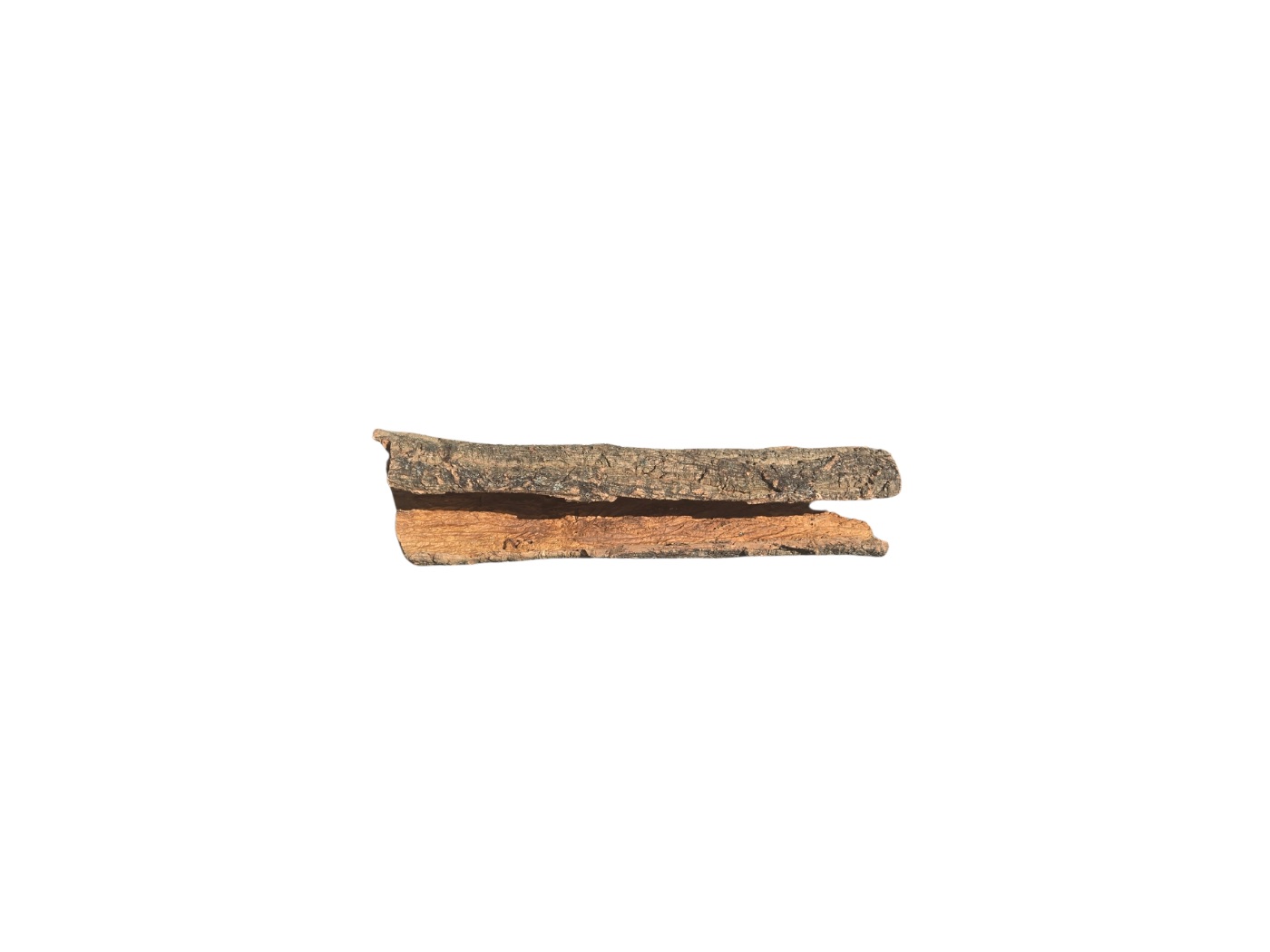 Tree Bark