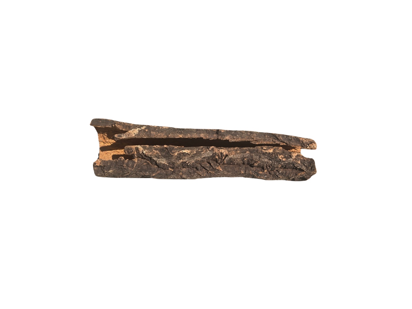 Tree Bark