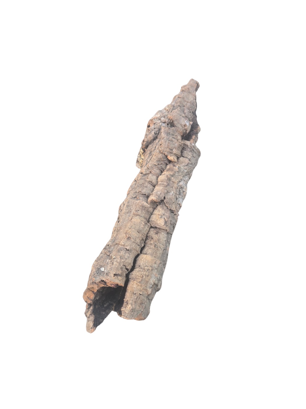 HabiStat Cork Tube