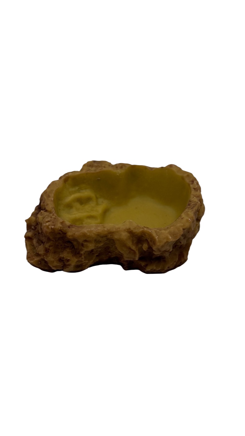 Reptile Nova Bowl S