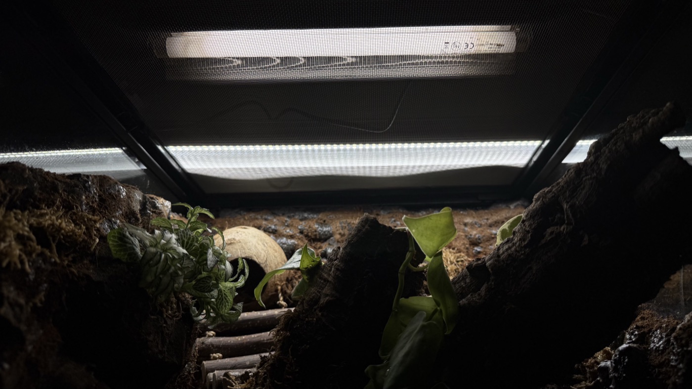 LIGHTING&HEATING