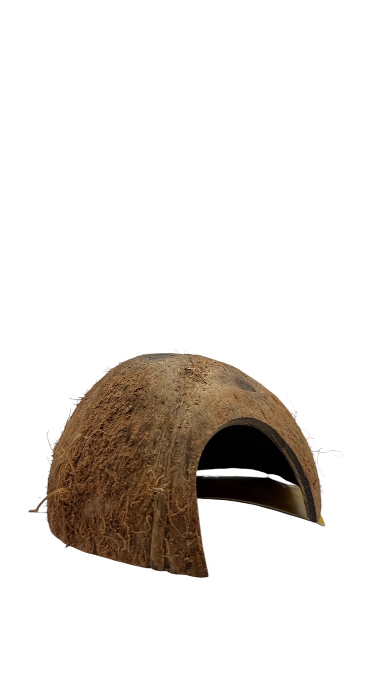 HabiStat Coconut Cave